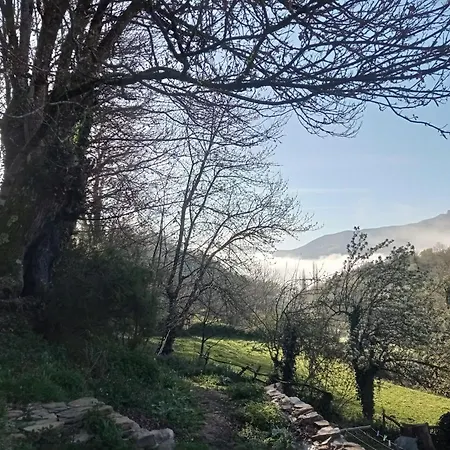 Hostel Eco El Beso - Vegano