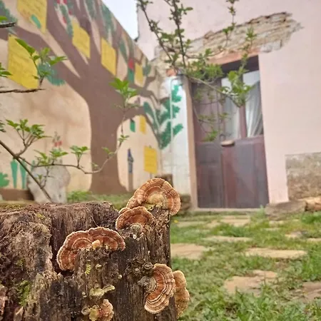 Eco El Beso - Vegano * Triacastela