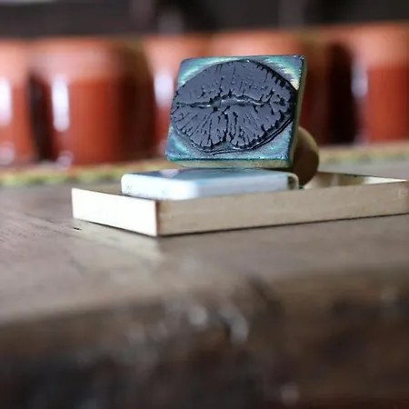 Eco El Beso - Vegano Hostel