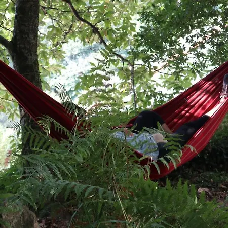 Hostel Eco El Beso - Vegano